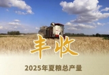 今年全国夏粮获得丰收 总产量达2994.8亿斤