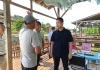 区长调研杨梅产业发展