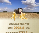 今年全国夏粮获得丰收 总产量达2994.8亿斤
