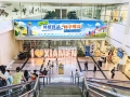 厦门高崎机场上演外贸优品快闪！多元厦企好物亮相，助力 “品牌出海” 与咖啡城市建设