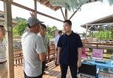 区长调研杨梅产业发展